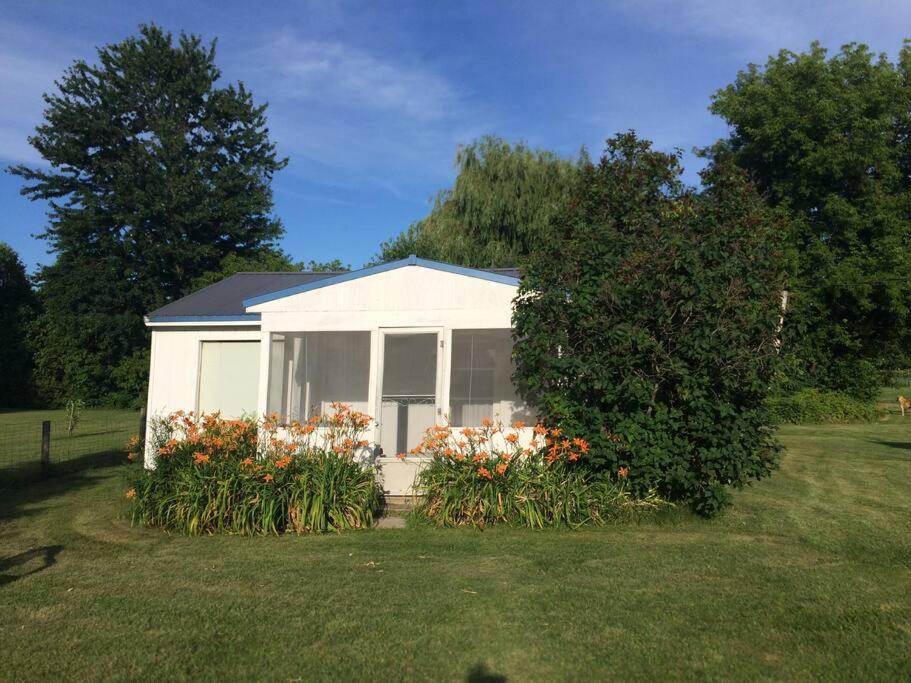 Inn At The Isles Cottage Isle la Motte المظهر الخارجي الصورة